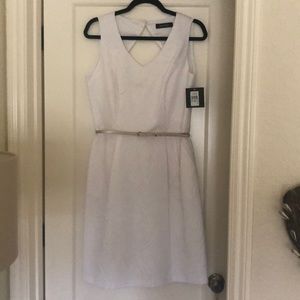 New! Ellen Tracy Belted Shirt Waist Dress